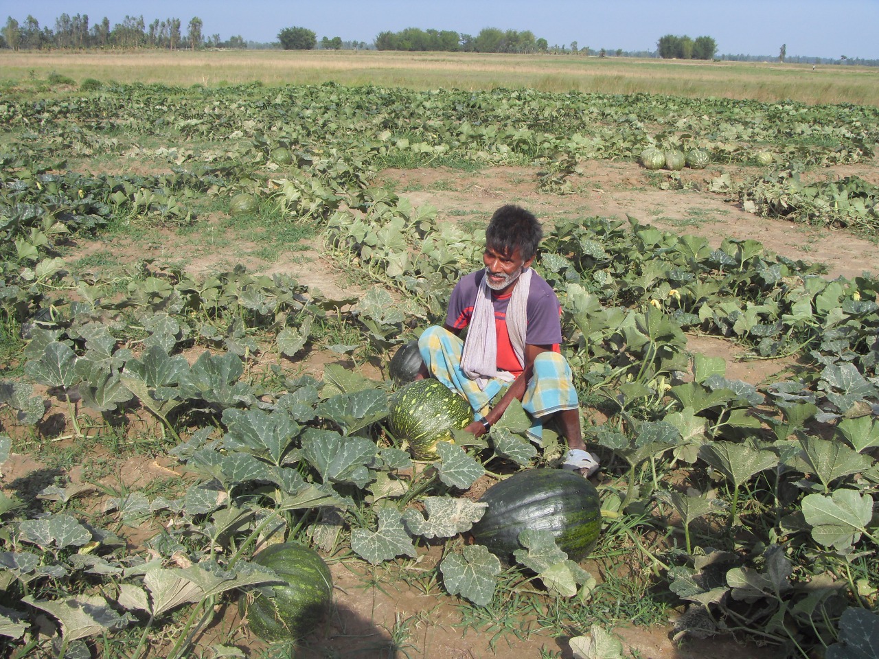 Livelihood Promotion & Capacity enhancement