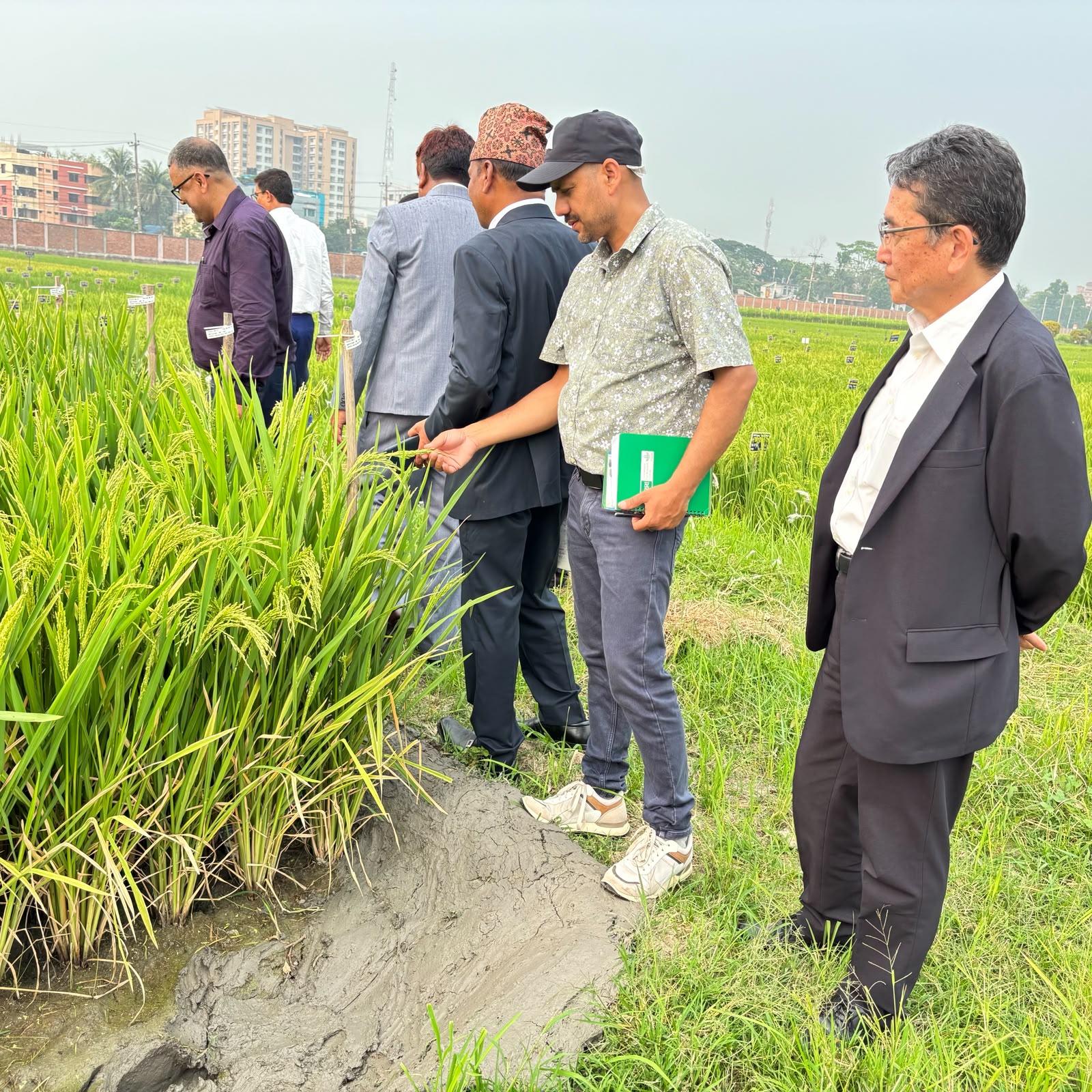 Community-Based Research for Climate-Resilient Rice Production